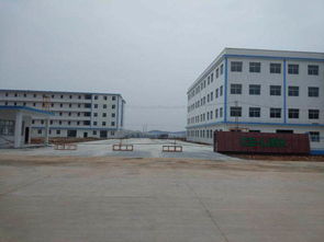 吉安財(cái)務(wù)咨詢 專業(yè)服務(wù)助力企業(yè)穩(wěn)健發(fā)展